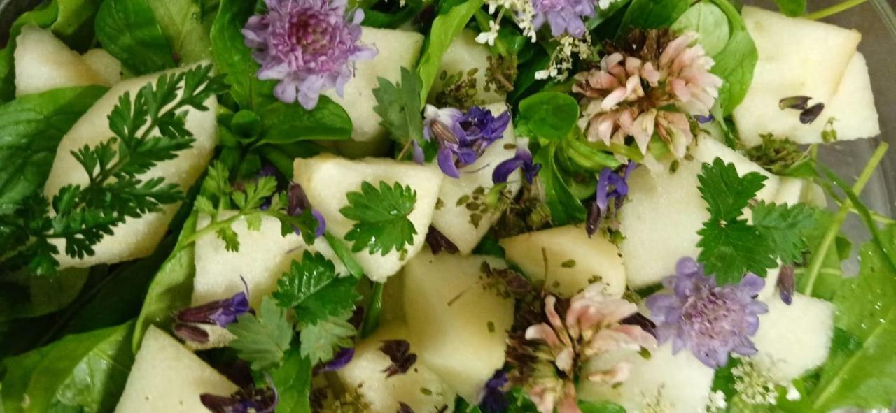 Agriturismo Con Cucina Tipica Nuova Scardua Cavriana Dış mekan fotoğraf