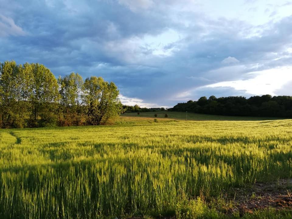 Agriturismo Con Cucina Tipica Nuova Scardua Cavriana Dış mekan fotoğraf