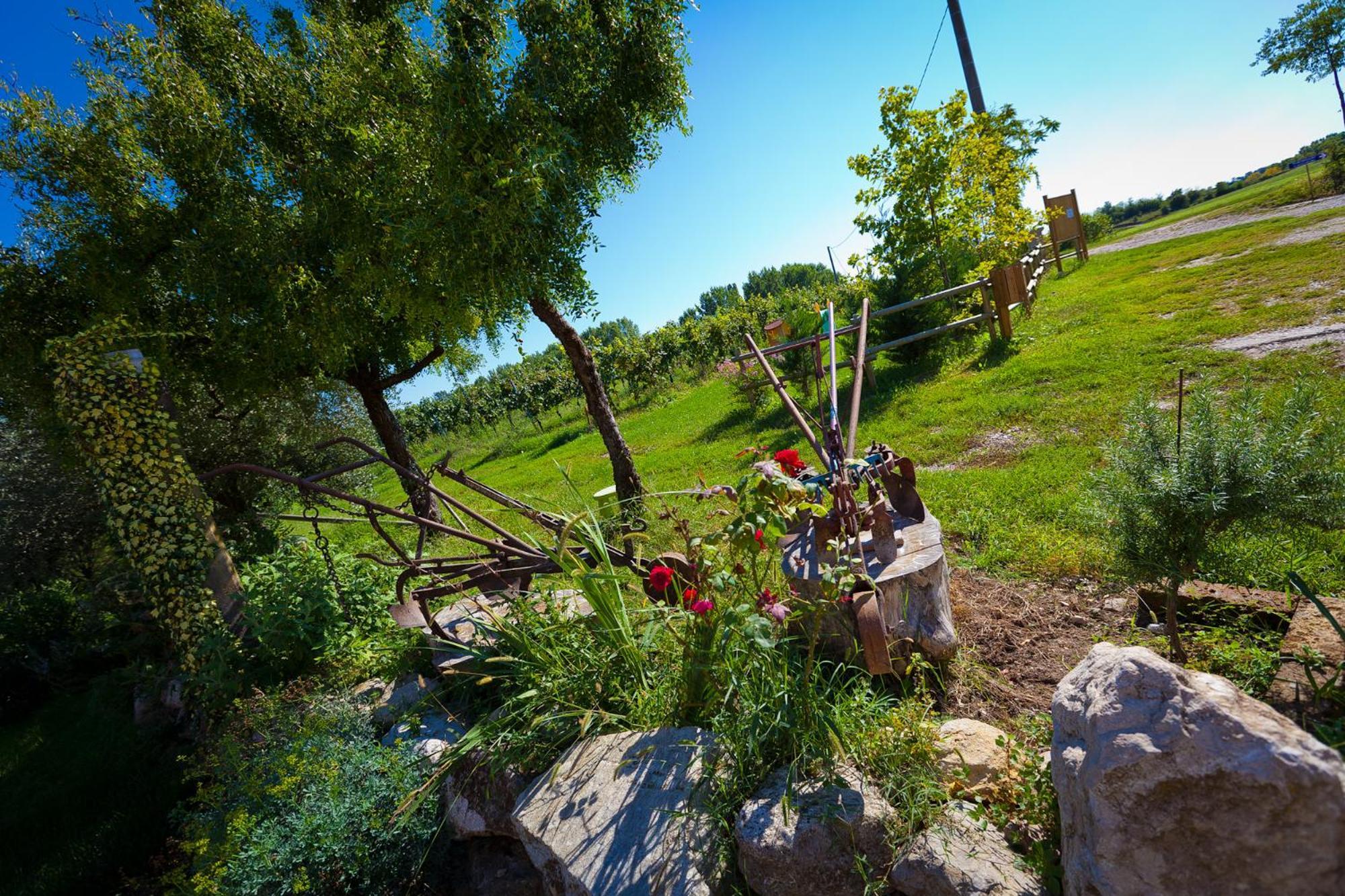 Agriturismo Con Cucina Tipica Nuova Scardua Cavriana Dış mekan fotoğraf