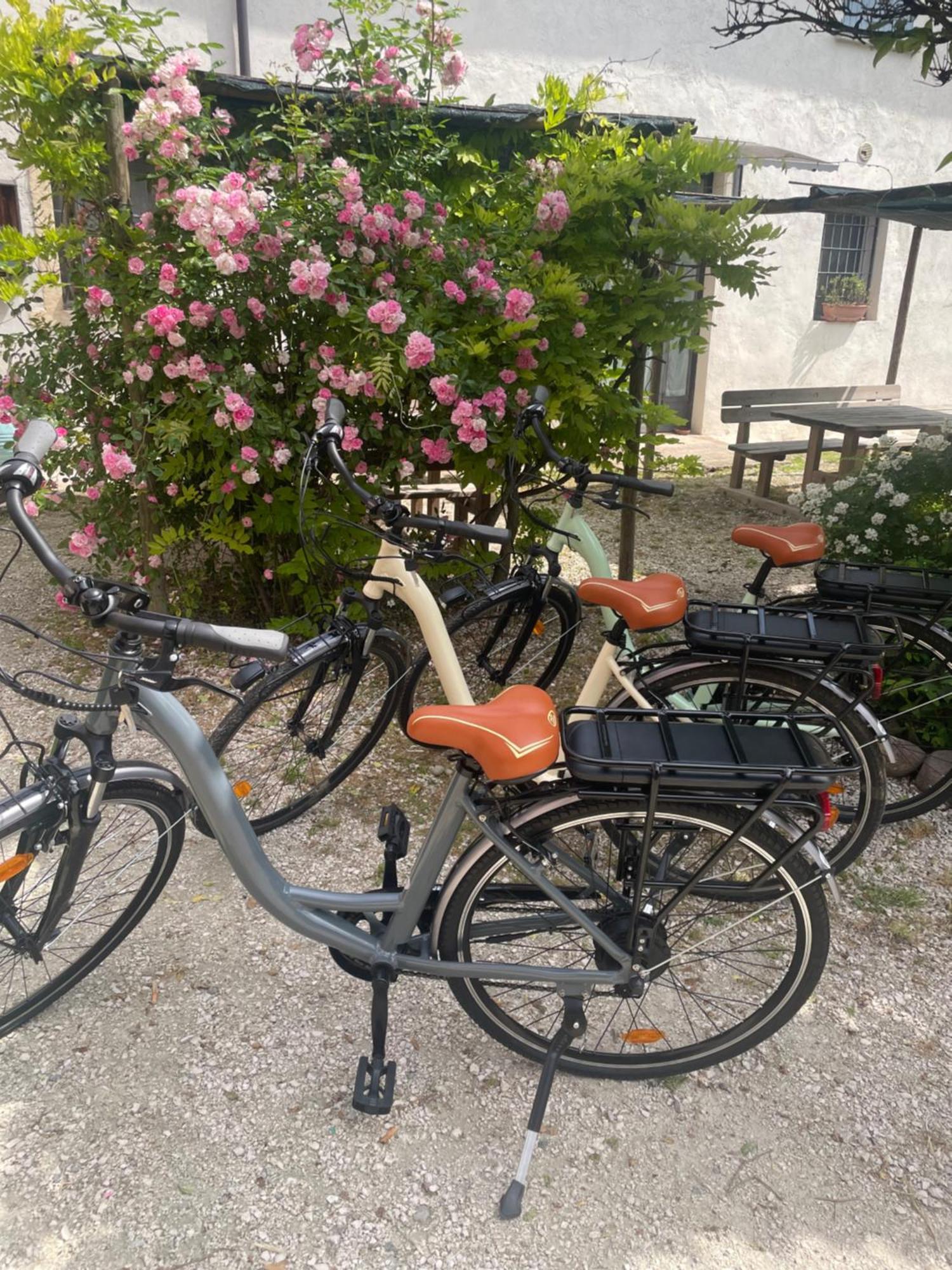Agriturismo Con Cucina Tipica Nuova Scardua Cavriana Dış mekan fotoğraf